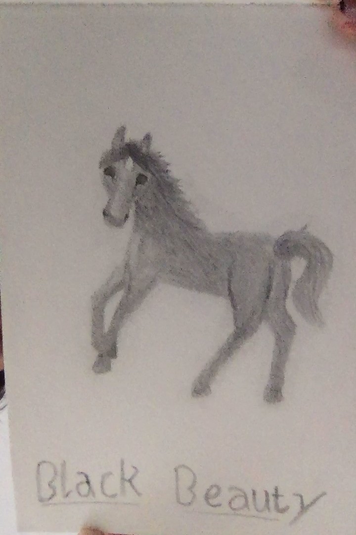 /uploaded_files/media/gallery/1587434817Samrin - drawing comp.jpg